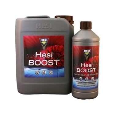 Hesi Boost