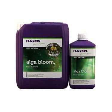 Alga Bloom