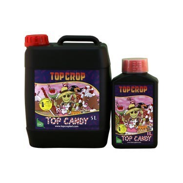 Top Candy