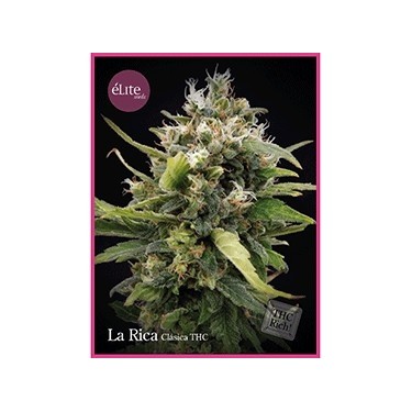 La Rica Clásica THC