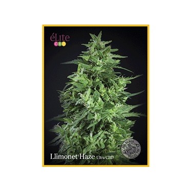 Llimonet Haze Ultra CBD