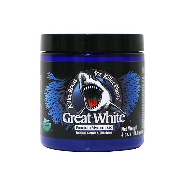 Great White Mycorrizas