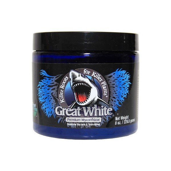 Great White Mycorrizas