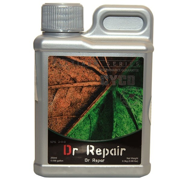 Dr Repair