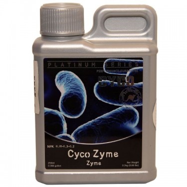 Zyme