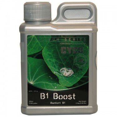 B1 Boost