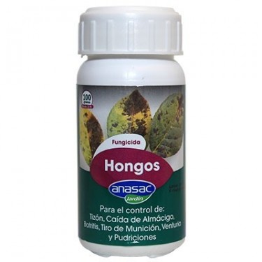 Hongos