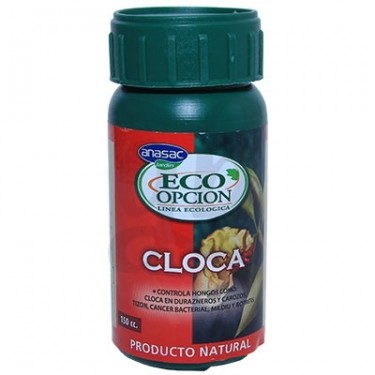 Cloca ECO