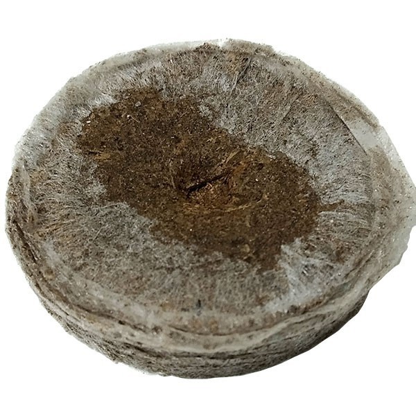 jiffy7 de turba (24mm)