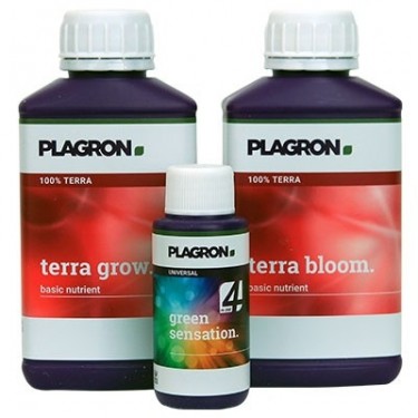 Plagron Easy Pack Terra