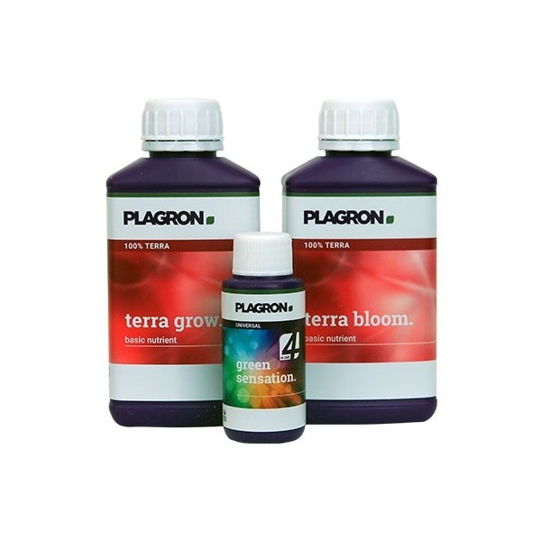 Plagron Easy Pack Terra