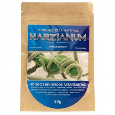 Harzianum