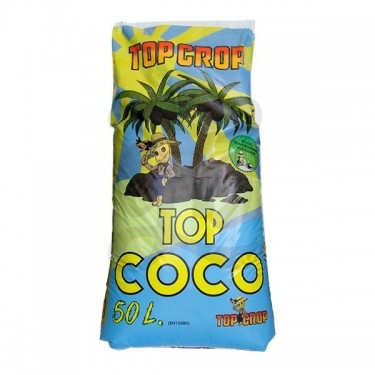 Top Coco