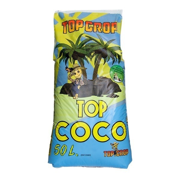 Top Coco