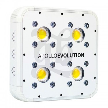 Apollo Evolution LED COB/SMD COB 6