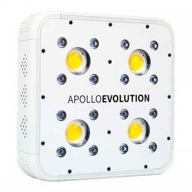 Apollo Evolution LED COB/SMD COB 6