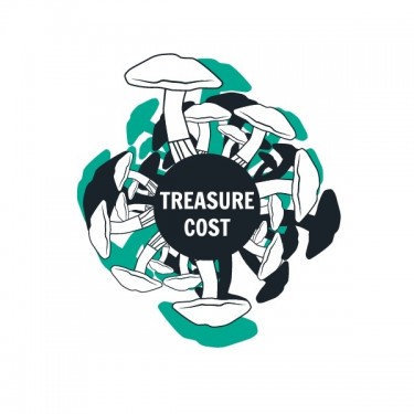 Treasure Cost