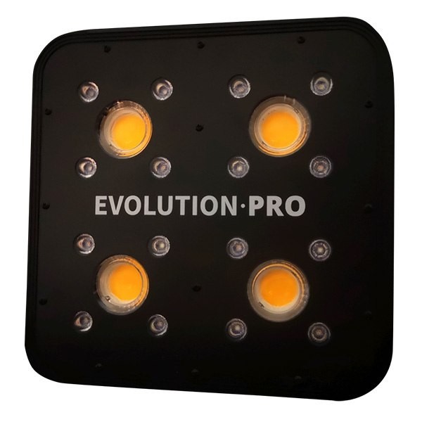 Led Apollo Evolution 4 Pro 150w frontal