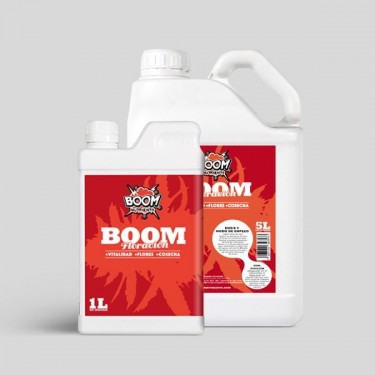 Floración Boom 5L