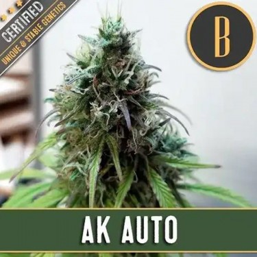 AK Auto