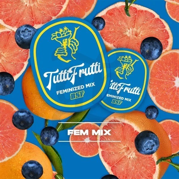 Tutti Frutti Mix Feminizadas