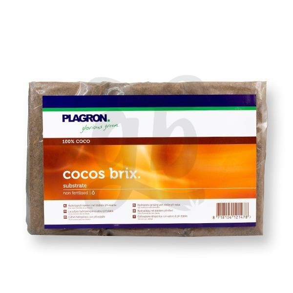 Plagron Cocos Brix