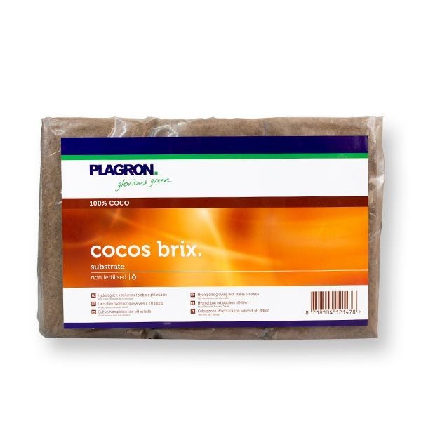 Plagron Cocos Brix