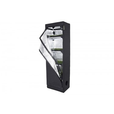Carpa Probox Propagator