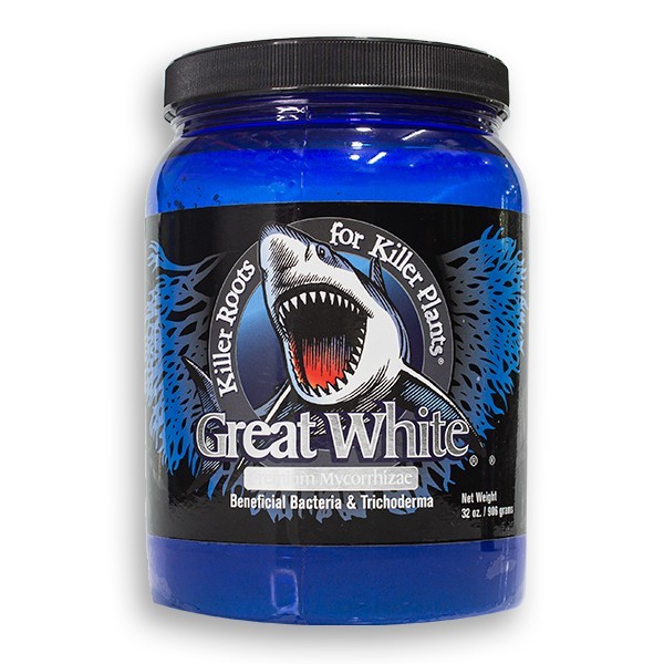 Great White Mycorrizas