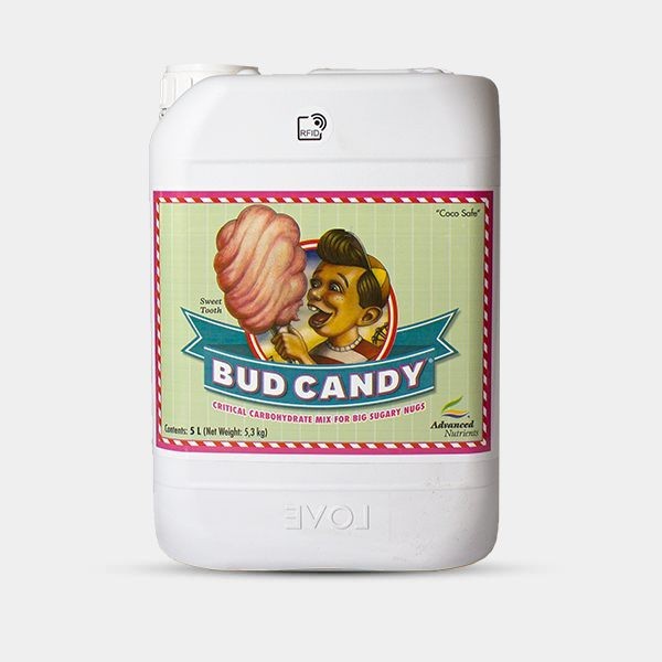 Bud Candy