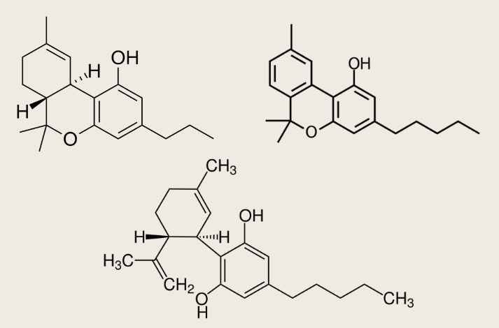 componentes del cannabis