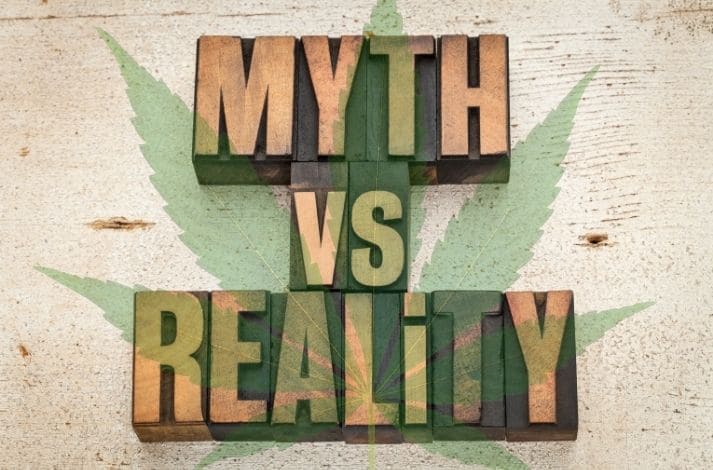La marihuana: mitos y realidades