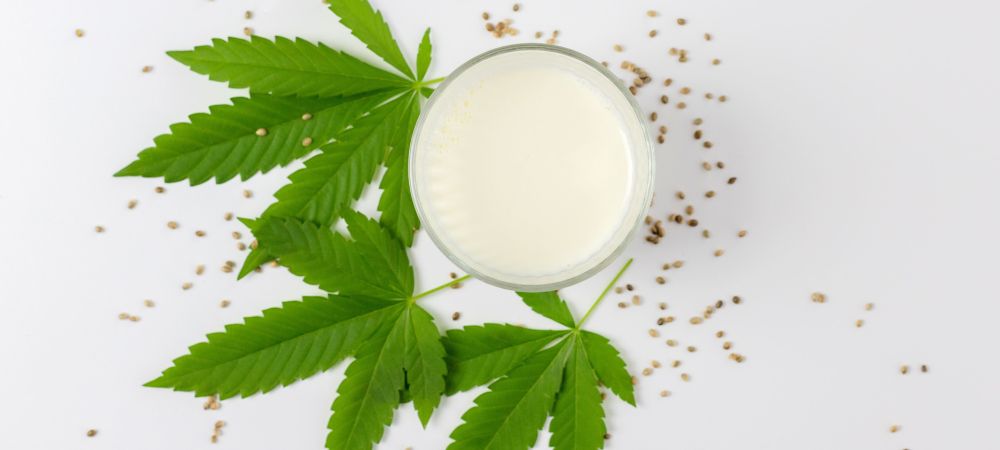 leche de marihuana