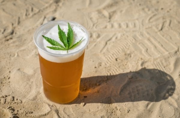 Cerveza casera de marihuana