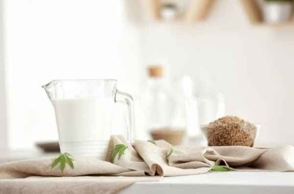 como hacer leche cannabis