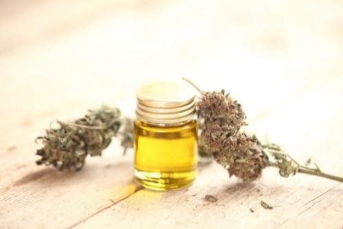 como hacer aceite de cbd