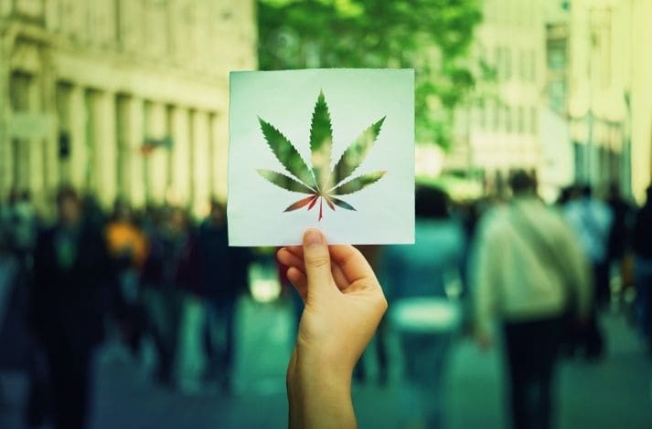 Los 8 datos más curiosos de la marihuana