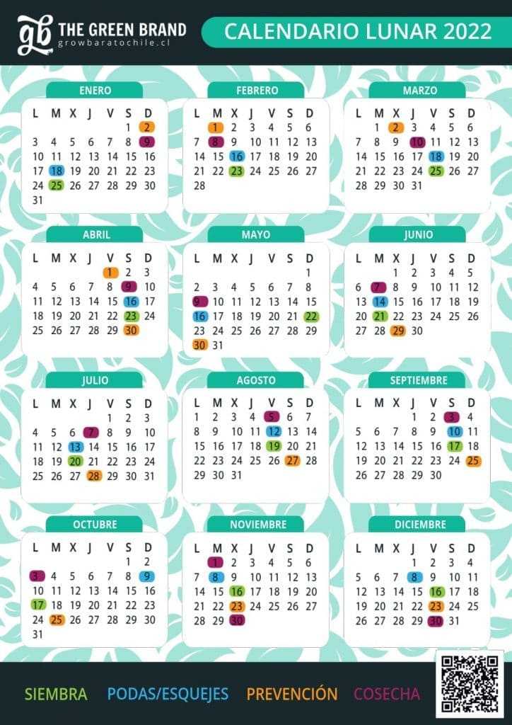 Chef 2022 talita calendario lunar Talita Chef