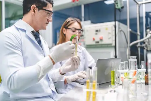 Investigación del CBG