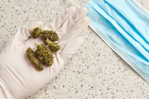 Prescripción médica cannabis