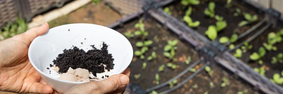 Fertilizante natural casero: aprende cómo hacerlo