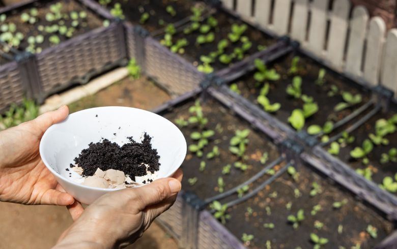 Fertilizante natural casero: aprende cómo hacerlo