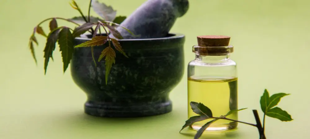 Aceite neem Aceite neem