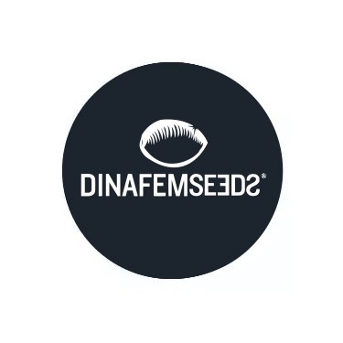 Dinafem