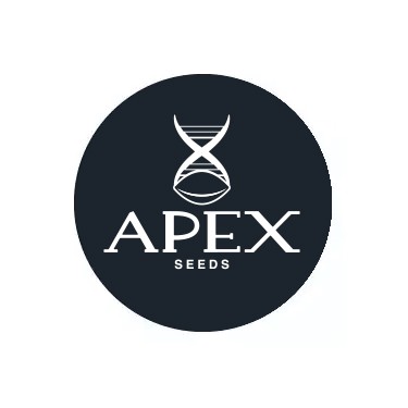 Ir a categoría de Apex Seeds Auto