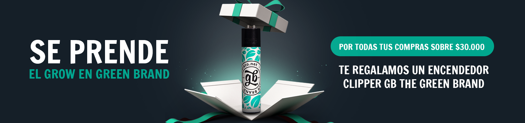 Promocion Marzo - Encendedor de regalo